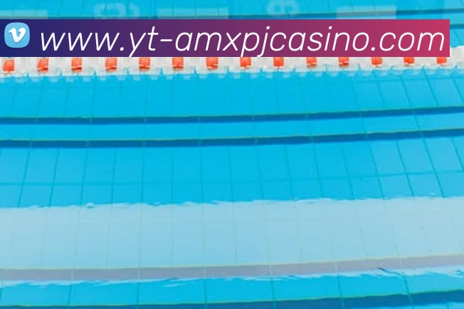 新葡京娱乐服务体系